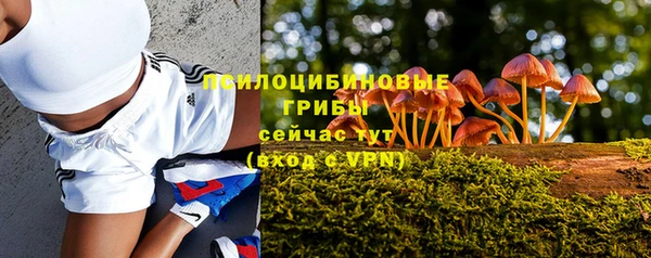 соль ск Мегион