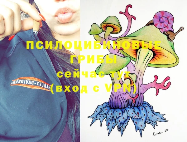 соль ск Мегион