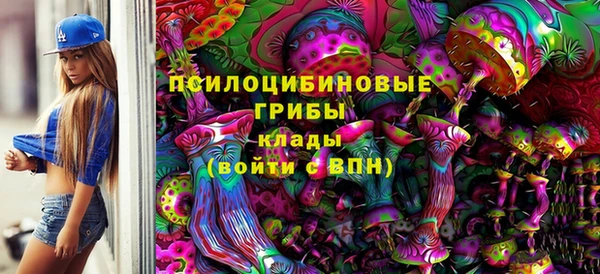 мдпв Магадан