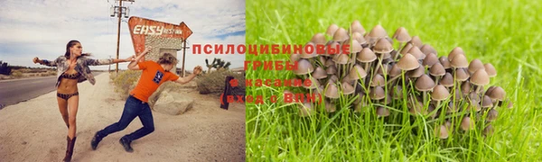 альфа пвп Медногорск